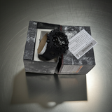 CASIO G-Shock GAV01-1ACR Black Cool Eyes watch NEW Analog Digital