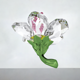 Swarovski 5690534 Crystal Florere Hibiscus Flower Small Figurine new in box