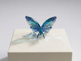 Swarovski 5721539 Idyllia Butterfly Turquoise figurine NIP