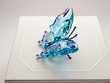 Swarovski 5721539 Idyllia Butterfly Turquoise figurine NIP