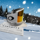 Oakley Snow Goggles Target Line L Matte White Fire Iridium lens NEW