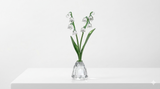 Swarovski Florere Lily of the Valley Figurine 5721541 Gergely Szoeke