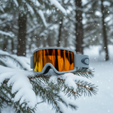 Oakley Snow Goggles Target Line M Grey on Grey frame Fire Iridium lens medium